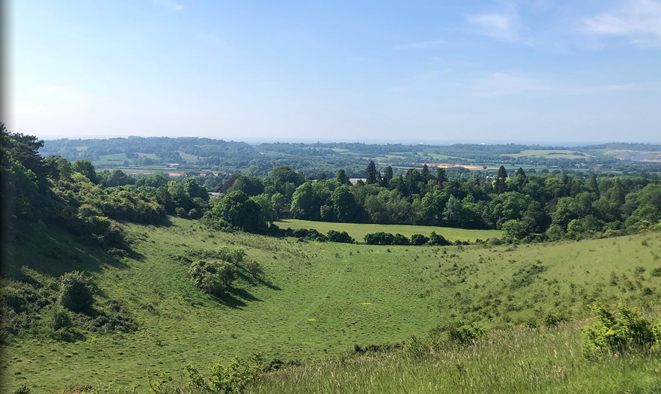 The Harrow, Caterham